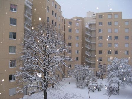 Hiver 2010