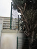 mur nord Florian